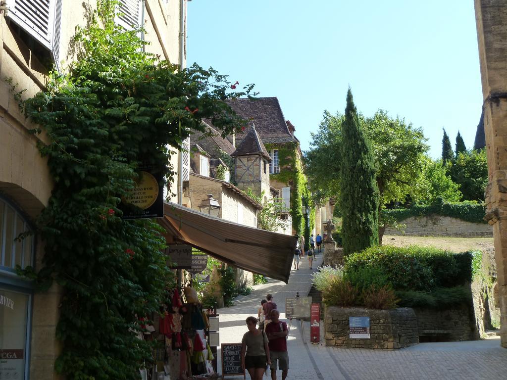 Le Grand Appartement D'Albusse 萨尔拉拉卡内达 外观 照片
